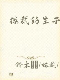 总裁的生子情人