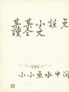 某某小说免费阅读全文封面