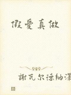 假爱真做