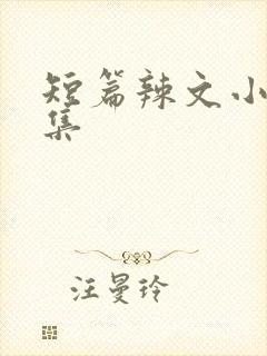 短篇辣文小说合集