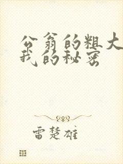 公翁的粗大放进我的秘密