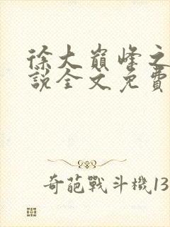 徐大巅峰之路小说全文免费阅读