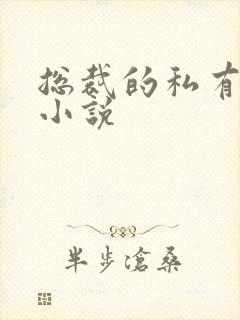 总裁的私有宝贝小说封面