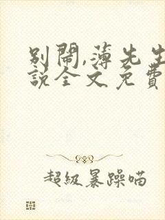 别闹,薄先生小说全文免费阅读