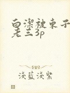 白洁被东子老二老三3p