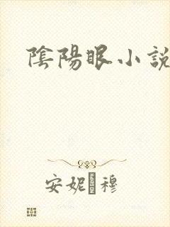 阴阳眼小说封面
