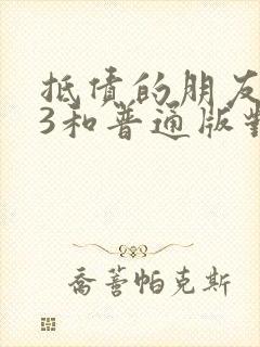 抵债的朋友麦子3和普通版对比