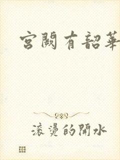 宫阙有韶华封面