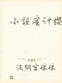 小说蜜汁樱桃封面