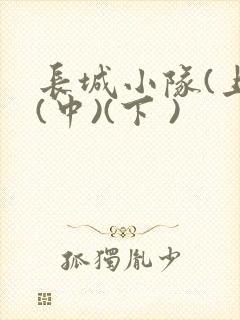 长城小队(上)(中)(下 )