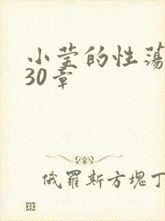 小莹的性荡生活30章封面