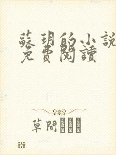 苏玥的小说全文免费阅读封面