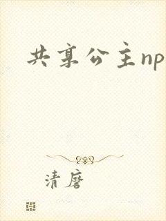 共享公主npc