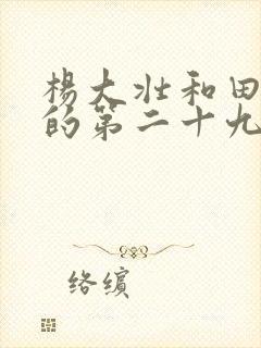 杨大壮和田桂花的第二十九