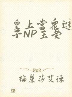 皇上当众进入太子NP主受