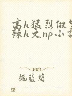高h猛烈做哭高辣h文np小说