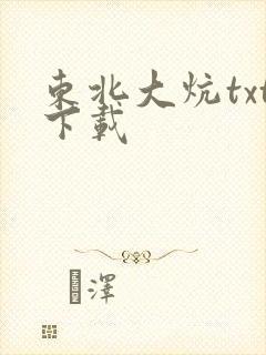 东北大炕txt下载封面