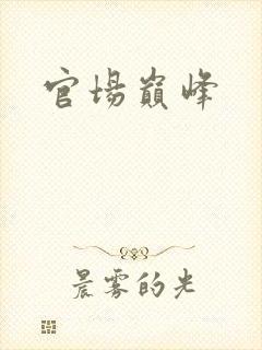 官场巅峰