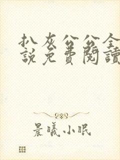 扒灰公公全部小说免费阅读全文封面