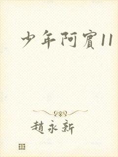 少年阿宾11封面