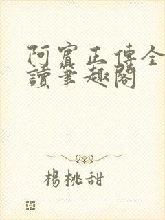 阿宾正传全文阅读笔趣阁