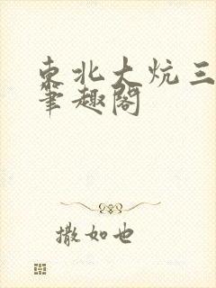 东北大炕三部曲笔趣阁