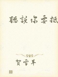 听说你要抵抗我封面