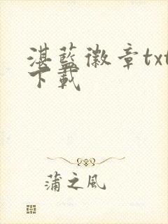 湛蓝徽章txt下载封面