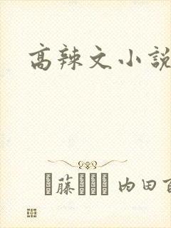 高辣文小说