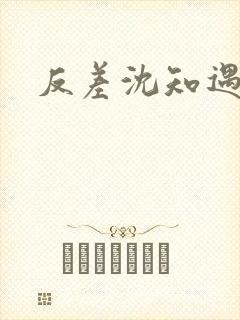 反差沈知遇晏应