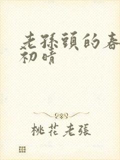 老孙头的春天林初晴