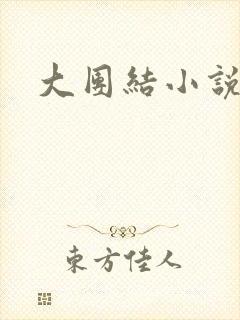 大团结小说阅读封面