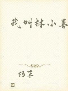 我叫林小喜17封面