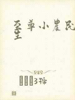 至尊小农民王木生