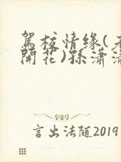 驾校情缘(老树开花)孙潇潇第一次趣笔阁