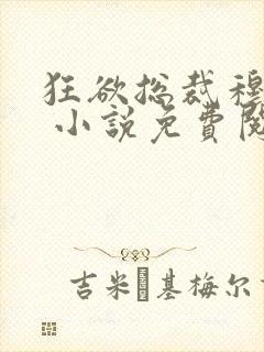 狂欲总裁穆非雪 小说免费阅读