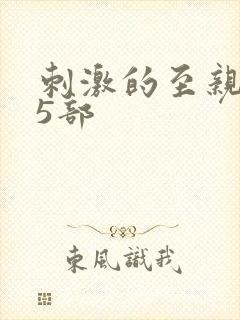 刺激的至亲乱45部封面