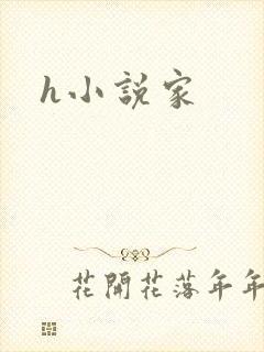 h小说家