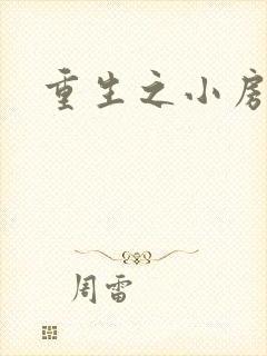 重生之小房东