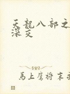 天龙八部之极乐深交封面