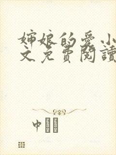 婶娘的爱小说全文免费阅读