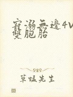 宠溺无边4V2双胞胎