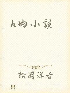 h肉小说