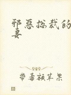 邪恶总裁的娇宠妻封面