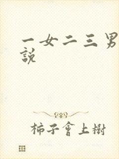 一女二三男事小说
