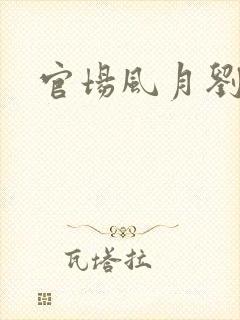 官场风月刘明强