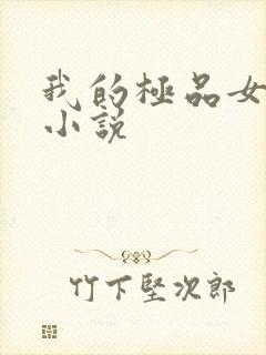 我的极品女老师小说封面