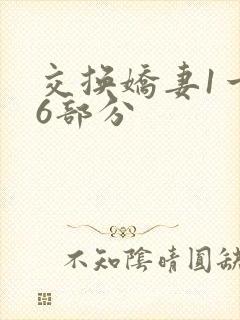 交换娇妻1一36部分