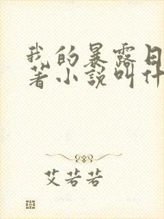 我的暴露日记原著小说叫什么