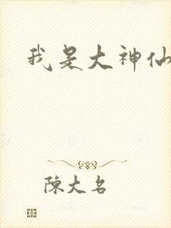 我是大神仙小说